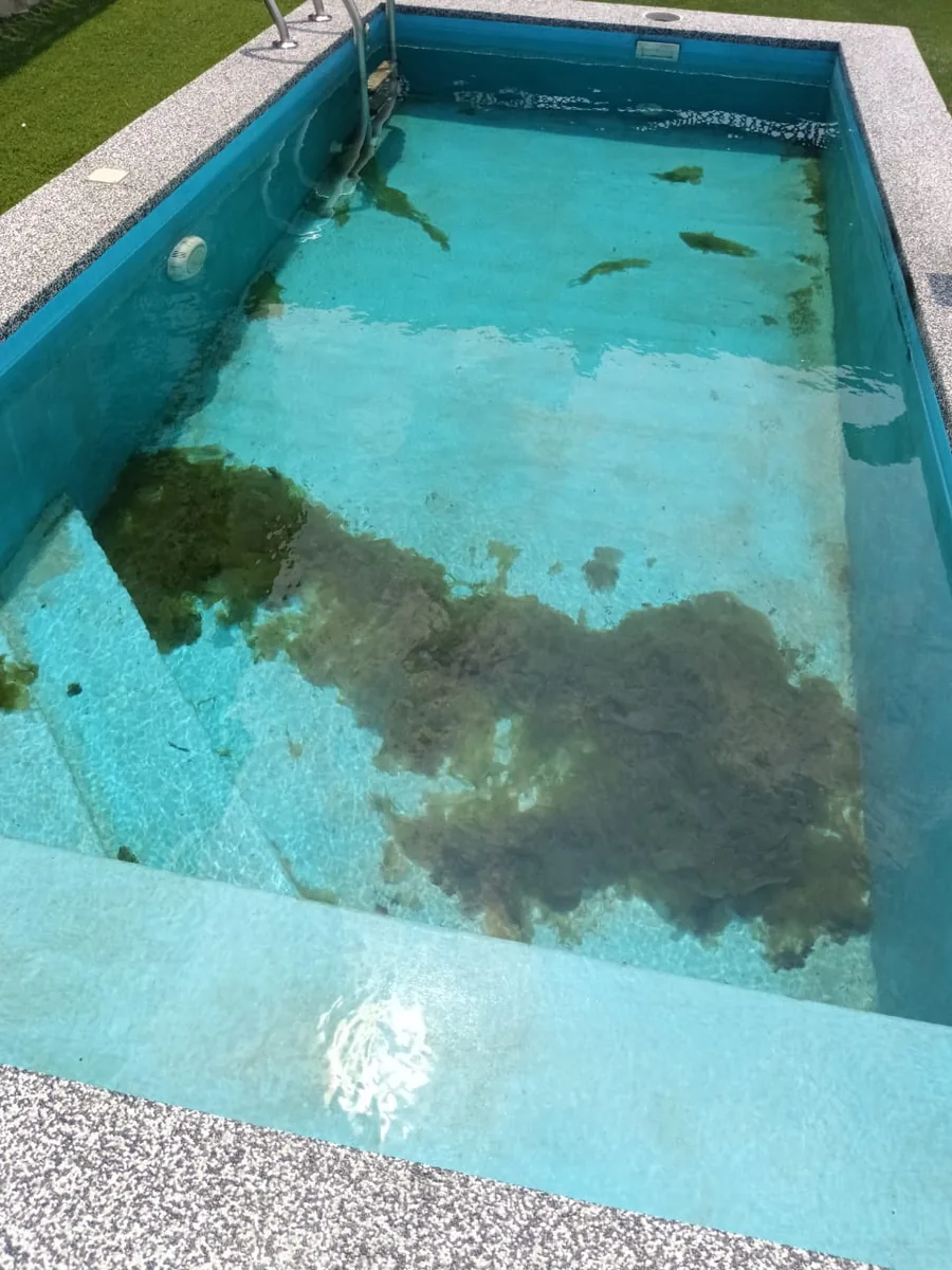 Small pool with algae before cleaning